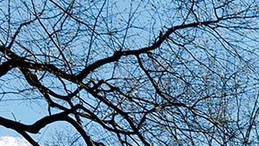 Publicaron este viernes informes estadísticos elaborados a partir de los datos de teléfonos móviles.