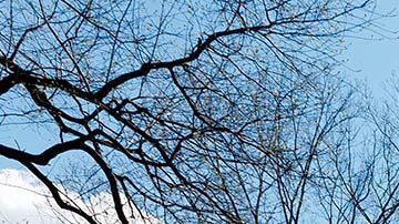 Publicaron este viernes informes estadísticos elaborados a partir de los datos de teléfonos móviles.