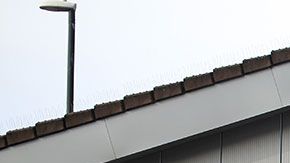 Aldi tiene muy buenos precios, pero este no es motivo suficiente para comprar todo ahí.