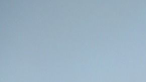 El aceite posee propiedades mágicas.