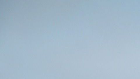 El aceite posee propiedades mágicas.