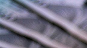 Te podrían sancionar con hasta $25,000 dólares en multas y cinco años de prisión por evasión de impuestos.