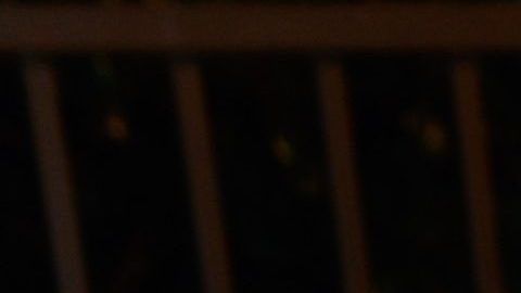 paige vanzant fotos desnuda