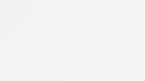 papel higiénico-Canva