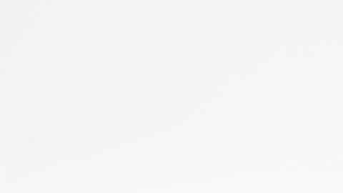 papel higiénico-Canva