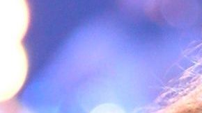 Paulina Rubio y Thalía.