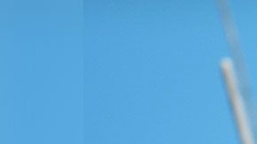 Este es el trabajo ideal para llevarlo a cabo durante la cuarentena.