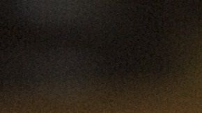 Los perros deben ejercitarse en casa por salud mental y física.