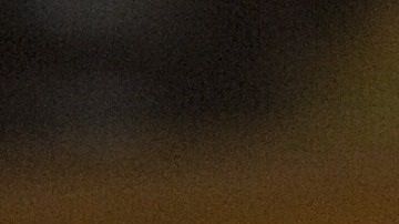 Los perros deben ejercitarse en casa por salud mental y física.