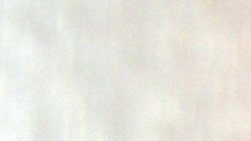 El poderoso olfato canino puede detectar tumores cancerígenos antes de que se formen y otras enfermedades.