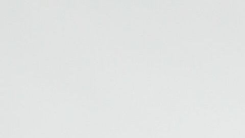 Un perro puede estar triste por muchas razones y se puede deteriorar su salud.