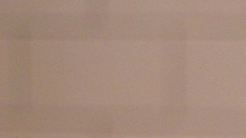 Los perritos que trabajan están en una cuenta de Instagram.