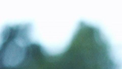 Crea una conexión especial con el planeta.