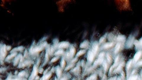 Hay un libro para cada signo.