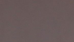 PETA exige que los animales silvestres no estén en espectáculos, ni videos musicales.