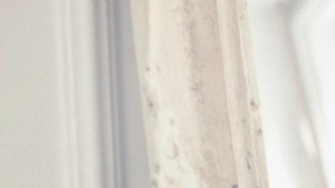 Los signos más vanidosos del zodiaco.