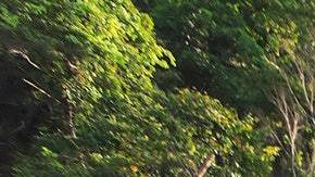 Tu signo te dice en qué lugar deberías vacacionar.