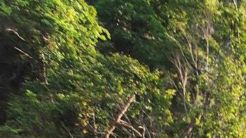 Tu signo te dice en qué lugar deberías vacacionar.