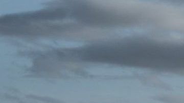 Polestar Precept Concept.
Crédito: Cortesía Polestar.