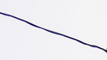 La Policía de Nassau había facilitado a ICE trabajar en las instaciones carcelarias.