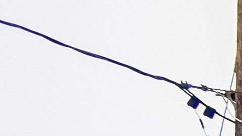 La Policía de Nassau había facilitado a ICE trabajar en las instaciones carcelarias.