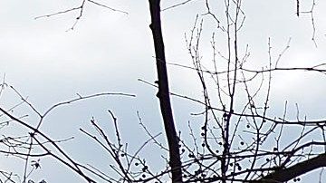 Los usuarios del parque están temerosos ante los ataques