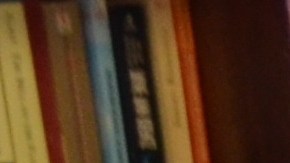 María Marquez miembro de la comunidad Purépecha en West Chicago, en Illinois. (Belhú Sanabria / La Raza)