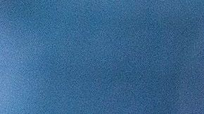 rodolfo pizarro gesto aficionado