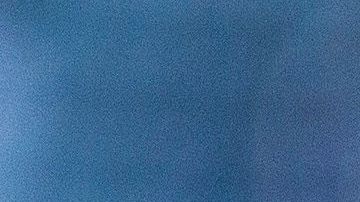 rodolfo pizarro gesto aficionado