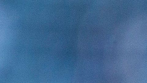 rodolfo pizarro gesto aficionado