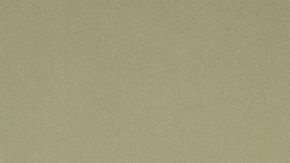 Sean y Kenneth Salas son los fundadores de la empresa financiera Camino Financial./Cortesía CF