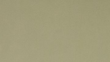 Sean y Kenneth Salas son los fundadores de la empresa financiera Camino Financial./Cortesía CF