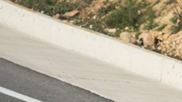 SEAT León 2021.
Crédito: Cortesía SEAT.