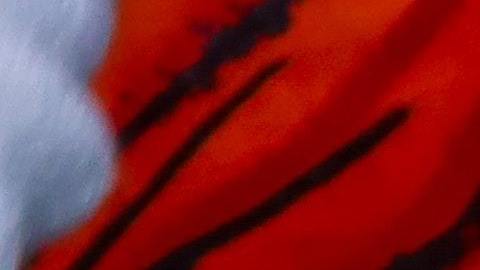 El tarot puede ayudarte a encaminar tu destino.