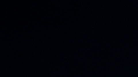 shutterstock_1005614566