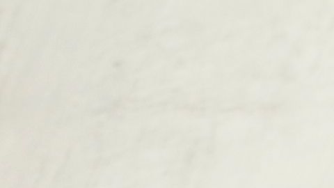 shutterstock_1044825661