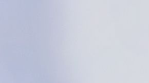 shutterstock_107813681