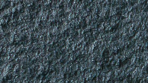 shutterstock_1145124851