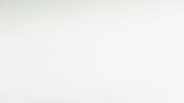 shutterstock_1334530613