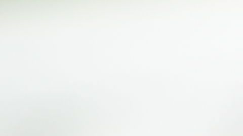 shutterstock_1334530613