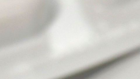 shutterstock_1391183309