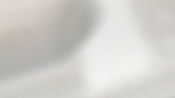 shutterstock_1391183309