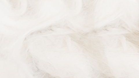 Tanto la madre como los bebés se encuentran en perfecto estado de salud.