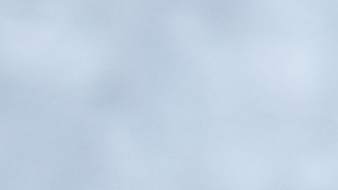 shutterstock_1498583432