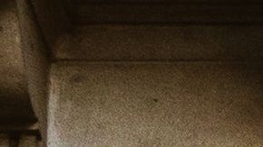 Un vecino quería despejarse del encierro con una vista al exterior y se topó con semejante escena.