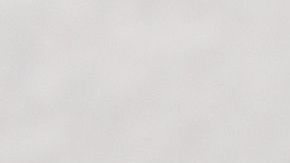 La técnica dependerá del tipo de pelo de tu mascota.