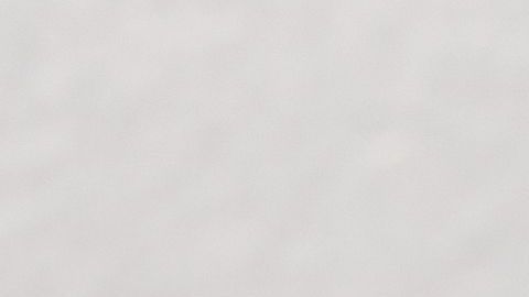 La técnica dependerá del tipo de pelo de tu mascota.