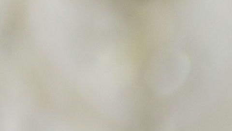 Explícale a tu hijo que aunque parecen vacaciones, debe continuar con sus tareas en casa.