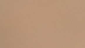 shutterstock_275882210