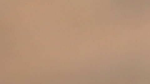 shutterstock_275882210